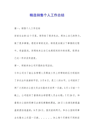精选销售个人工作总结-