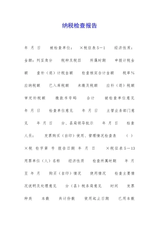 纳税检查报告-