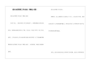 组长试用期工作总结