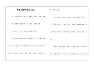 终点650字初二日记