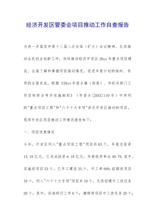 经济开发区管委会项目推进工作自查报告-