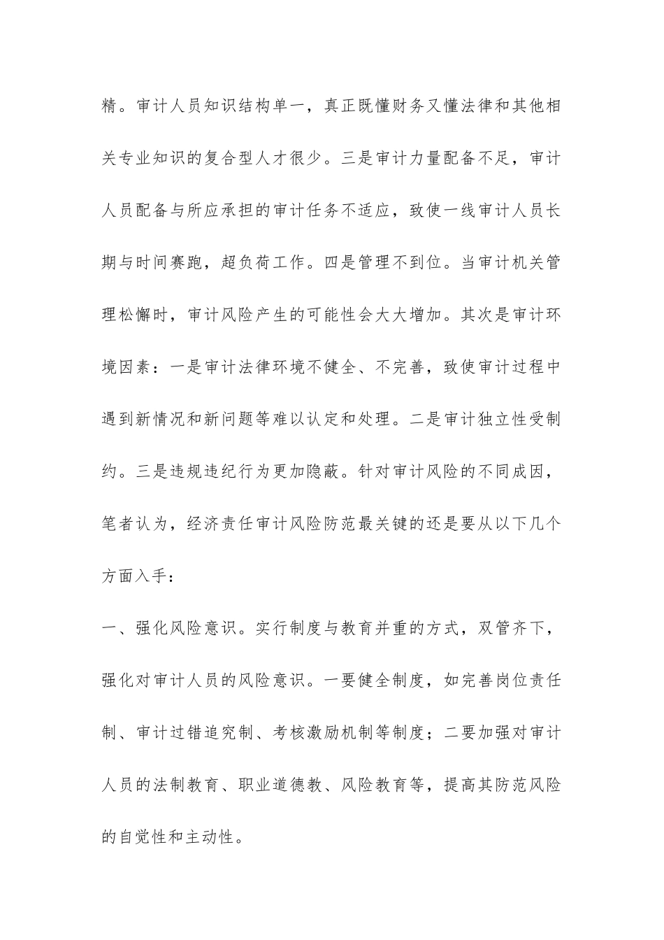 经济责任审计风险的调研报告-_第2页