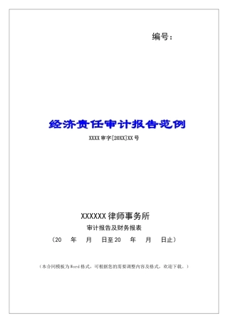 经济责任审计报告范例