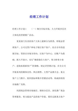 经理工作计划