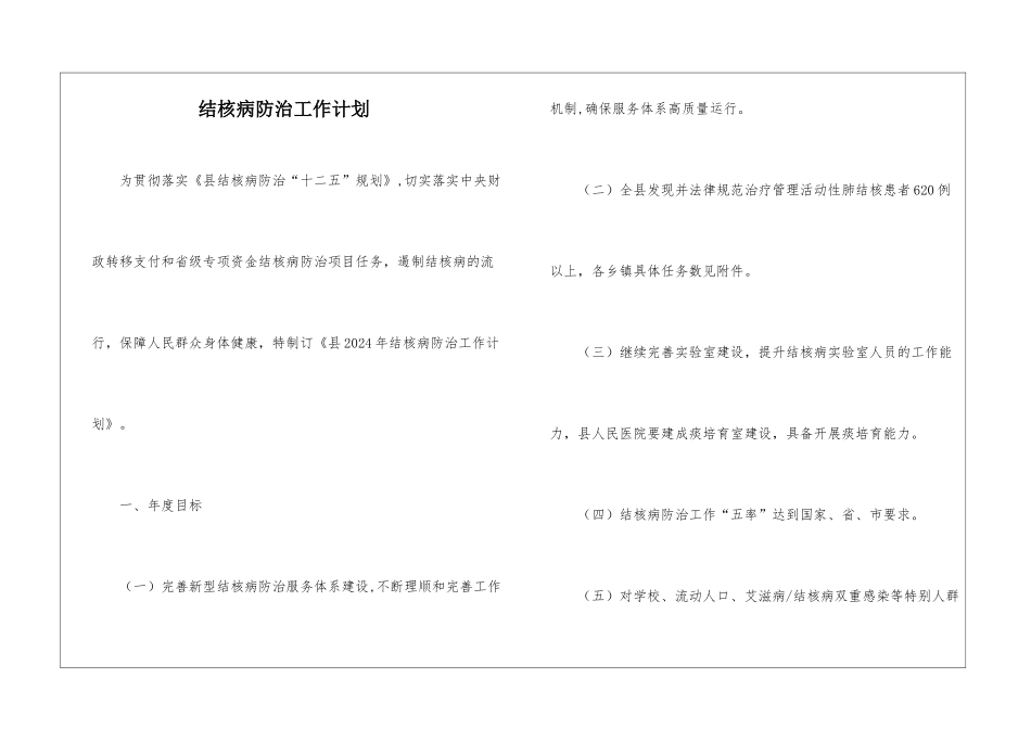 结核病防治工作计划_第1页