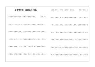 给市领导的一封建议书市长