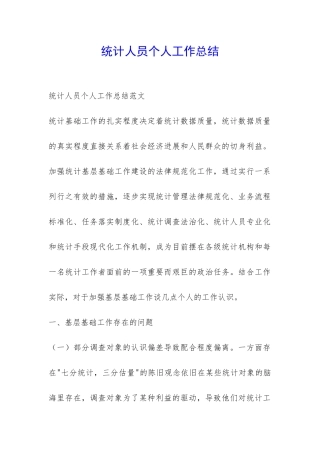 统计人员个人工作总结-