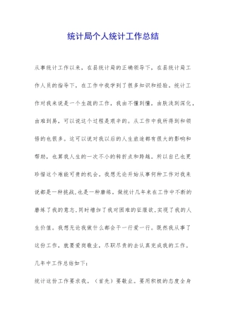 统计局个人统计工作总结-