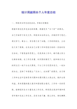 统计局副局长个人年度总结-