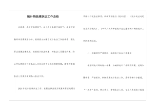 统计局法规执法工作总结