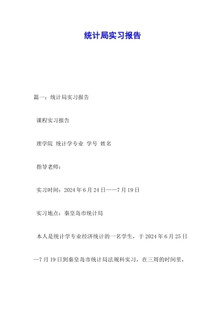 统计局实习报告