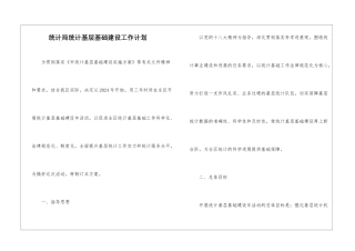 统计局统计基层基础建设工作计划