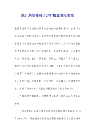 统计局领导班子分析检查阶段总结-