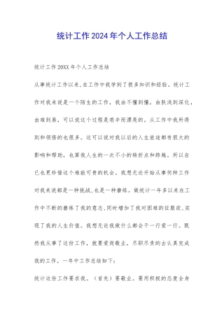 统计工作2024年个人工作总结-