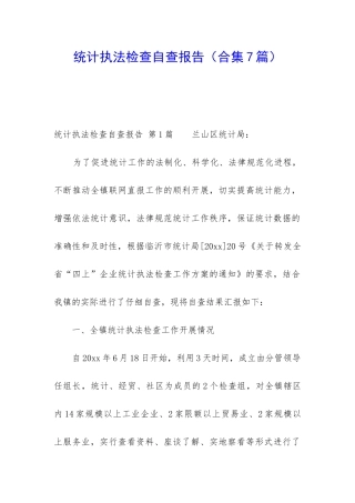 统计执法检查自查报告