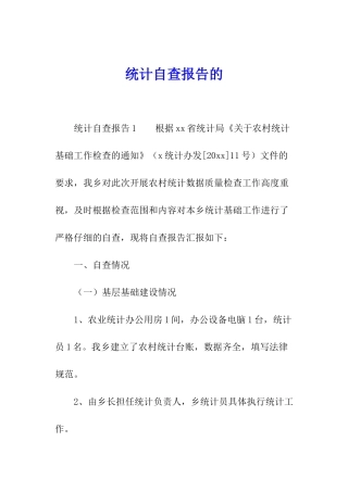 统计自查报告的