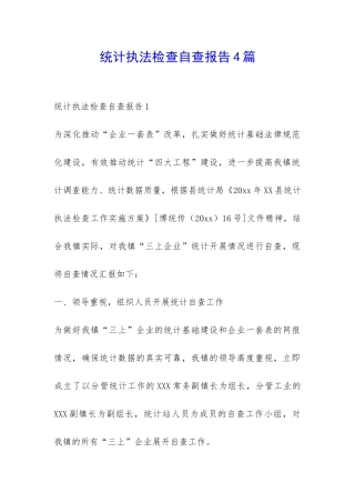 统计执法检查自查报告4篇-