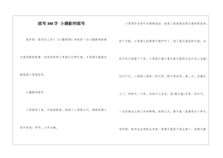 续写300字-小摄影师续写