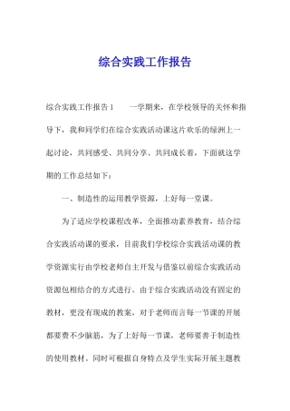 综合实践工作报告