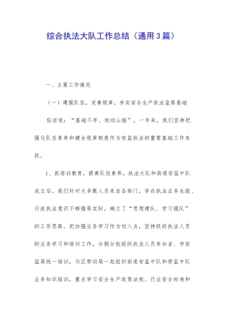 综合执法大队工作总结