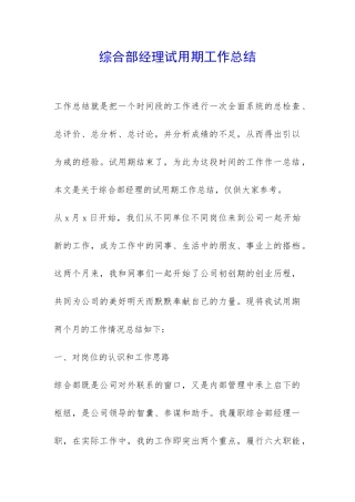 综合部经理试用期工作总结-