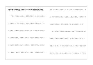 绿水青山就是金山银山——芦锶原的发展实践