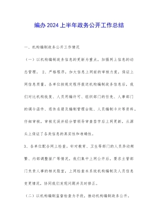 编办2024上半年政务公开工作总结-