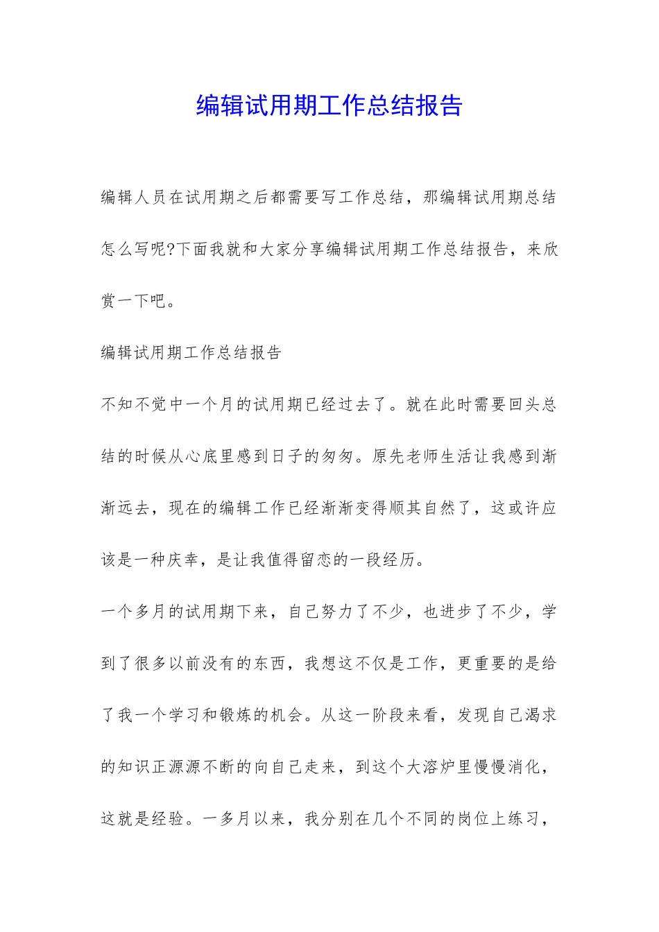 编辑试用期工作总结报告-_第1页
