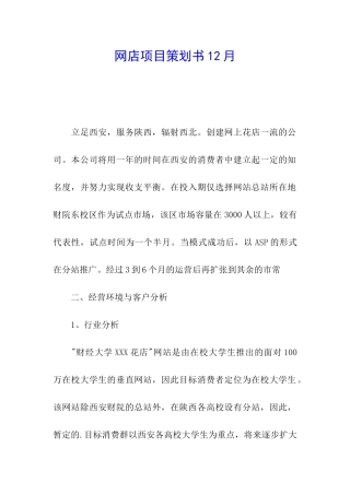 网店项目策划书12月