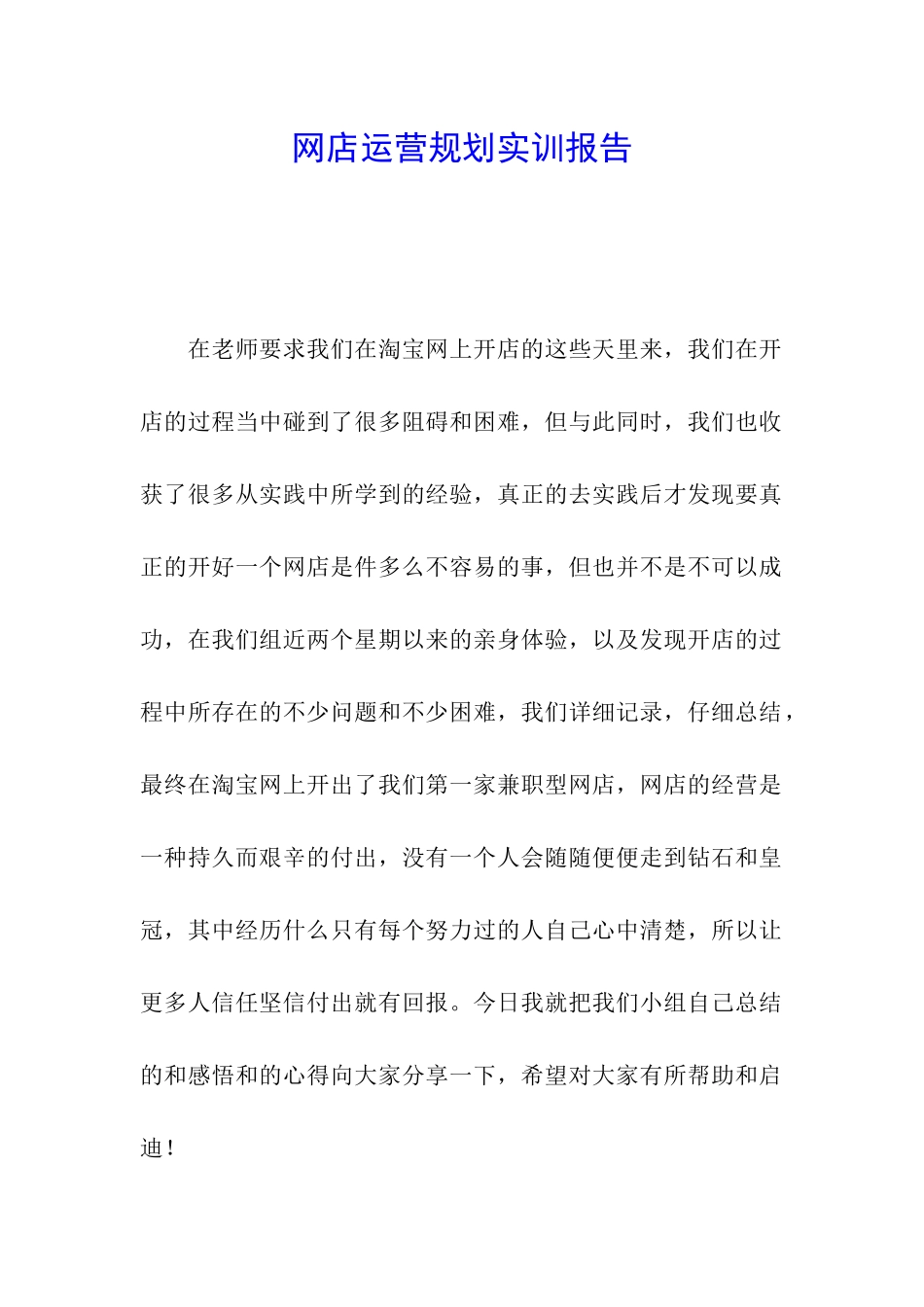 网店运营规划实训报告_第1页