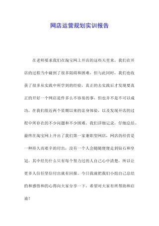 网店运营规划实训报告