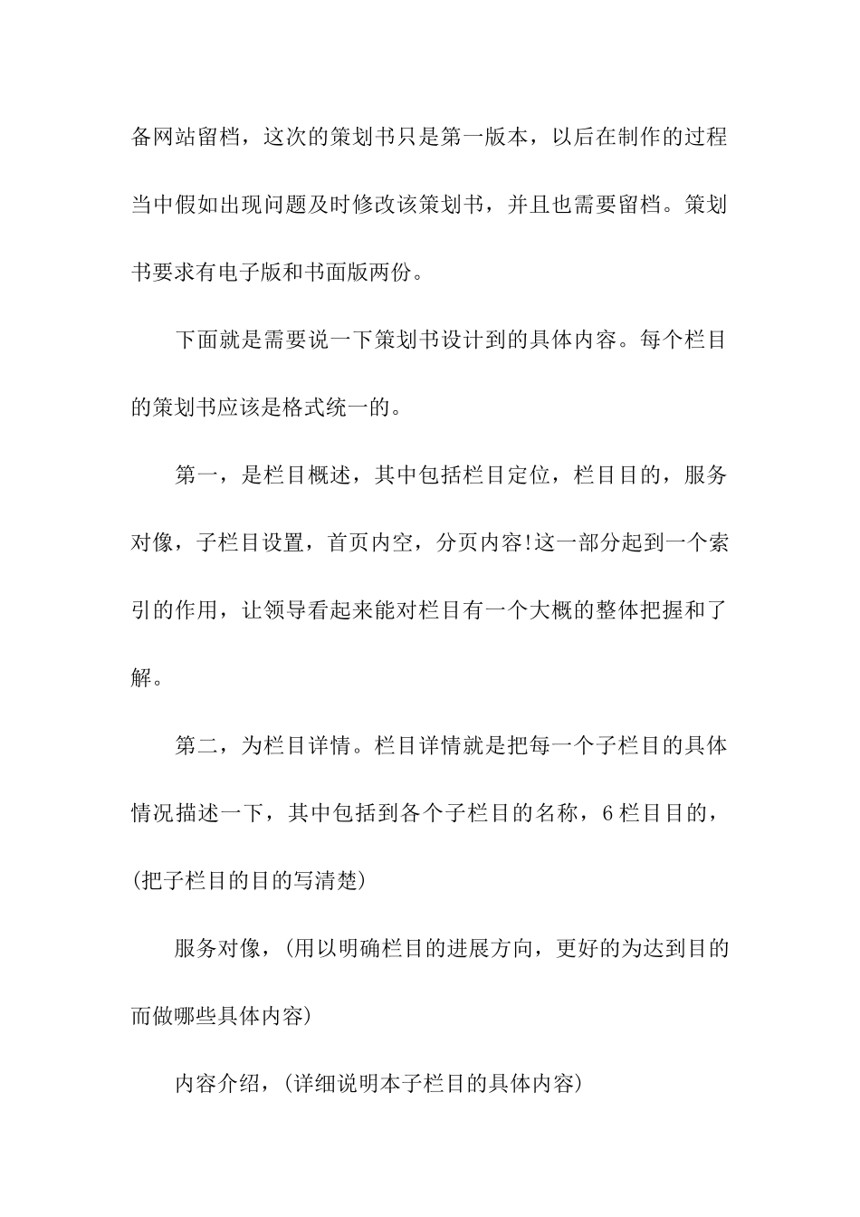 网站策划书参考网站总策划书_第3页