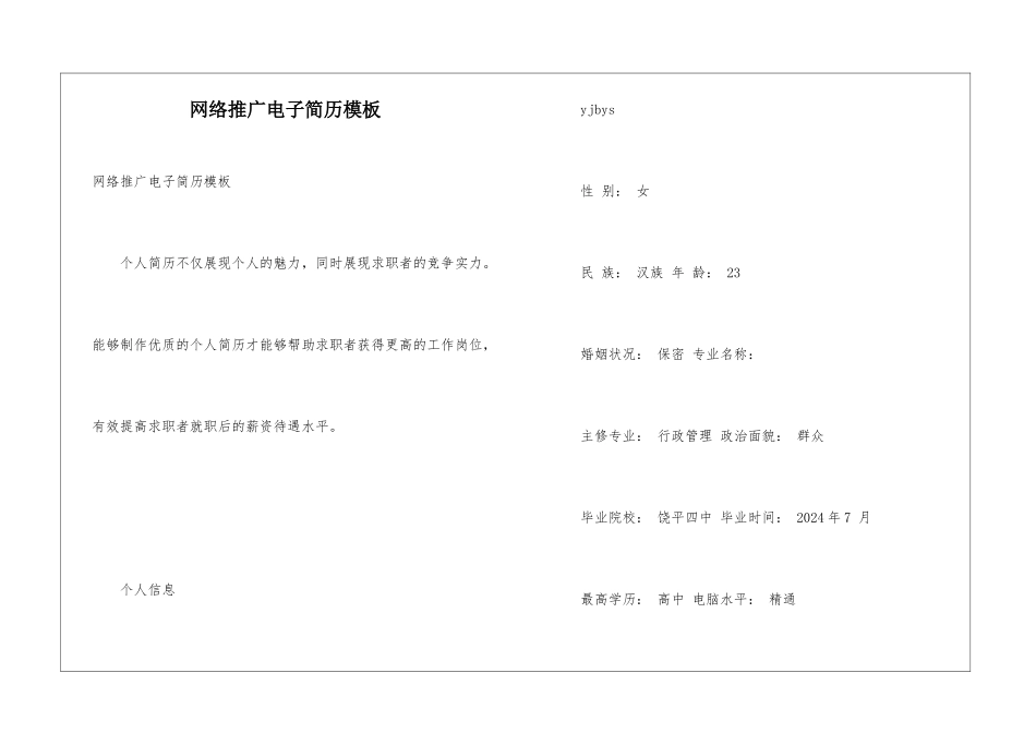 网络推广电子简历模板_第1页