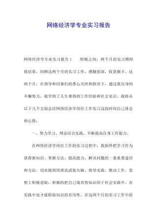 网络经济学专业实习报告