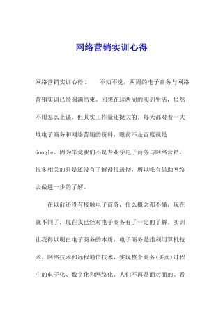 网络营销实训心得