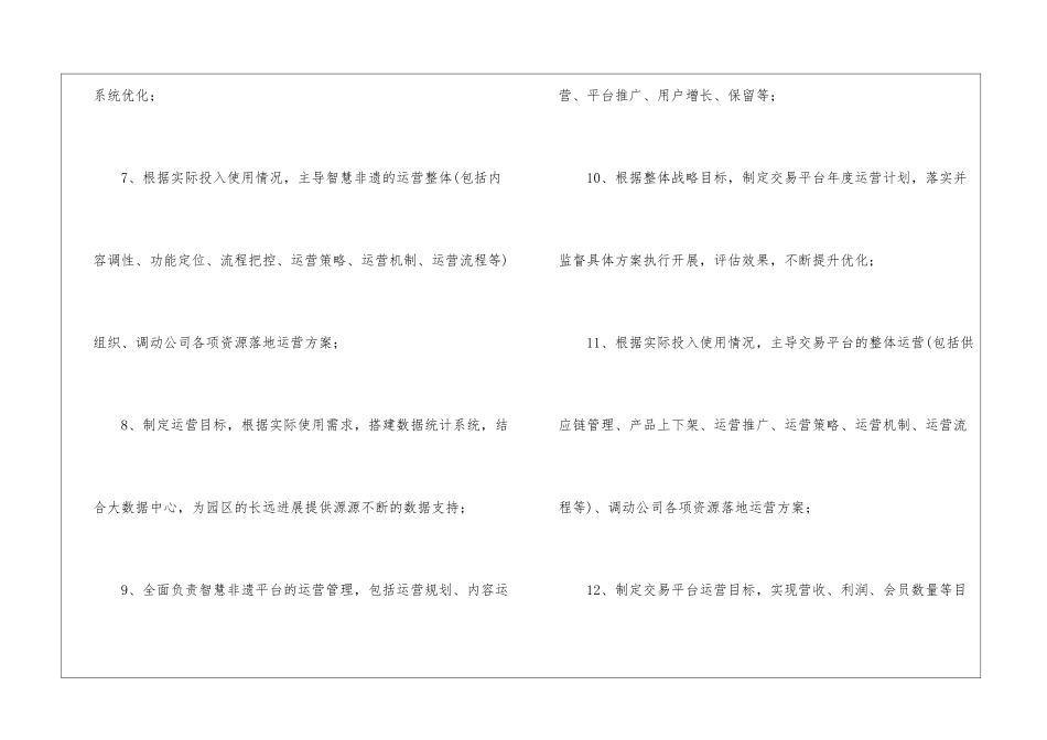 网络运营总监的岗位职责_第2页