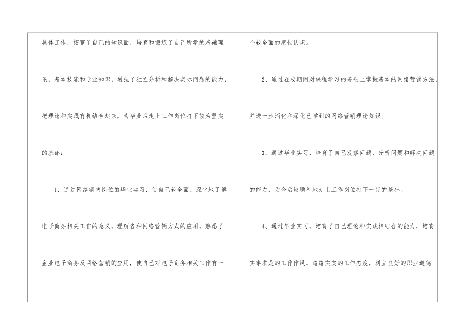 网络销售人员实习报告_第2页