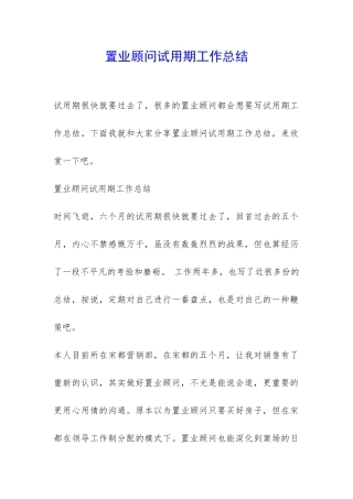 置业顾问试用期工作总结-
