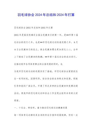 羽毛球协会2024年总结和2024年打算-