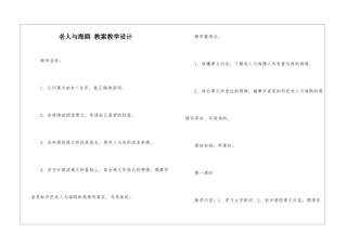 老人与海鸥-教案教学设计-