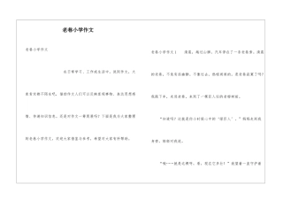 老巷小学作文