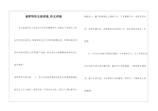 老师写作文的评语-作文评语