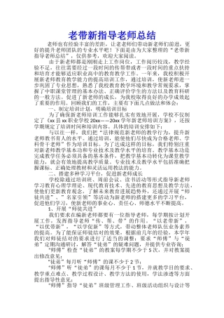 老带新指导教师总结