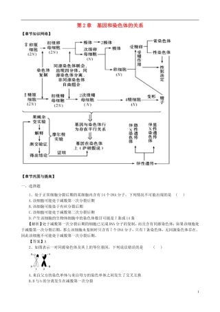 2013版高考生物一轮精品复习 第2章 基因和染色体的关系单元复习学案 新人教版必修2
