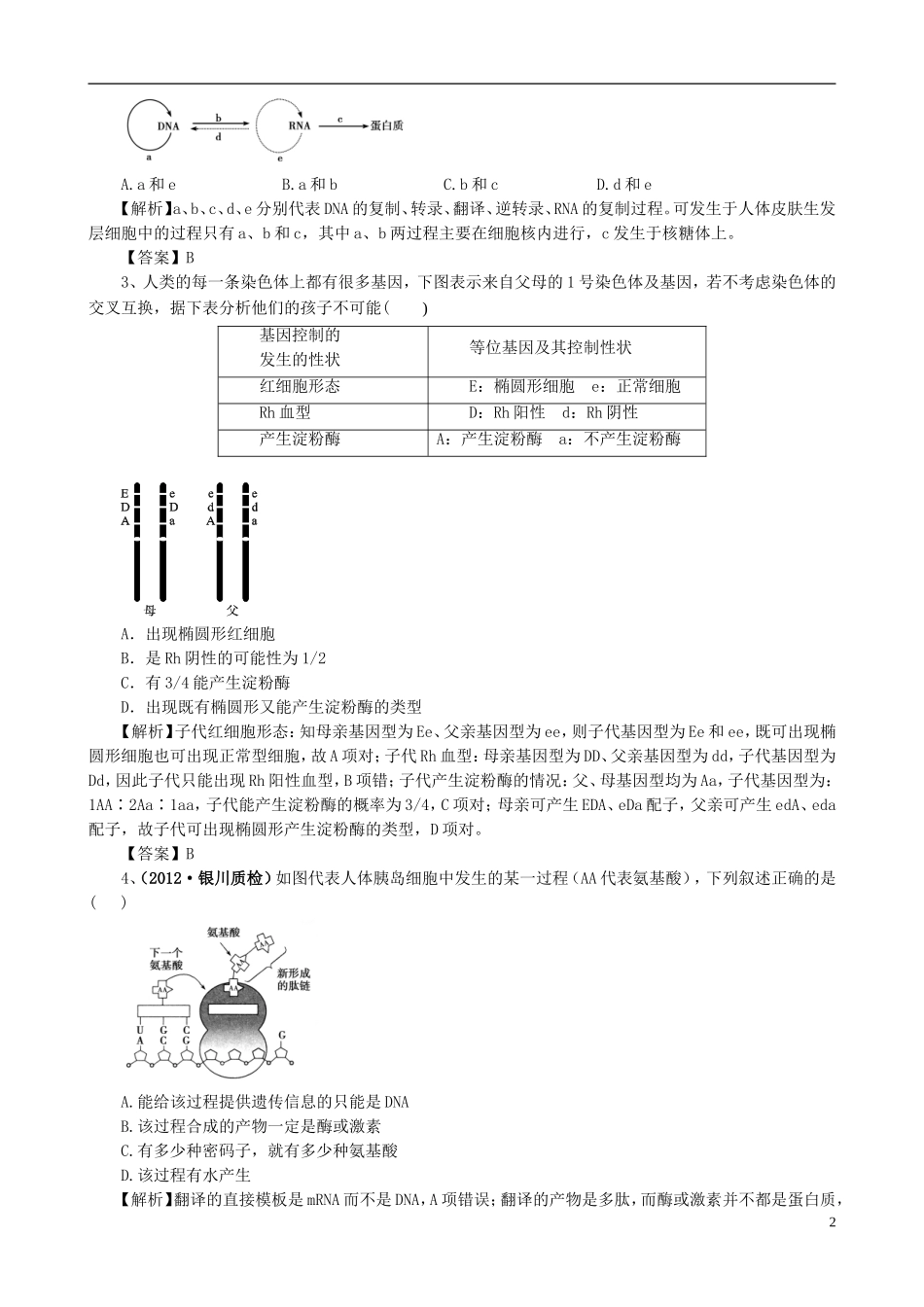 2013版高考生物一轮精品复习 第4章 基因的表达单元复习学案 新人教版必修2_第2页