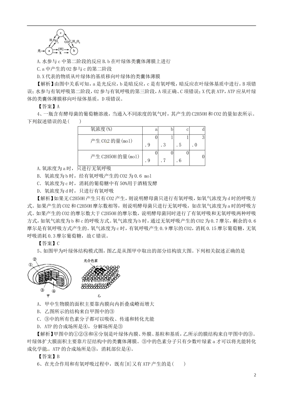 2013版高考生物一轮精品复习 第5章 细胞的能量供应和利用单元复习学案 新人教版必修1_第2页