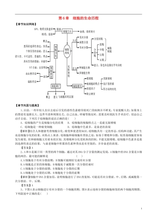 2013版高考生物一轮精品复习 第6章 细胞的生命历程单元复习学案 新人教版必修1