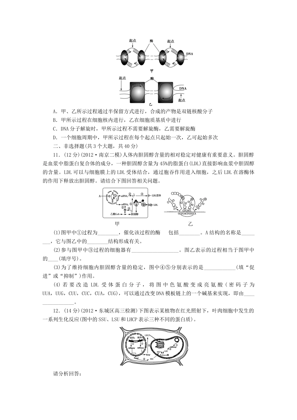 2013高考生物 必考考点4 遗传的物质基础 新人教版_第3页