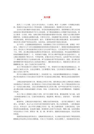 2013高三语文作文素材 灰夫妻