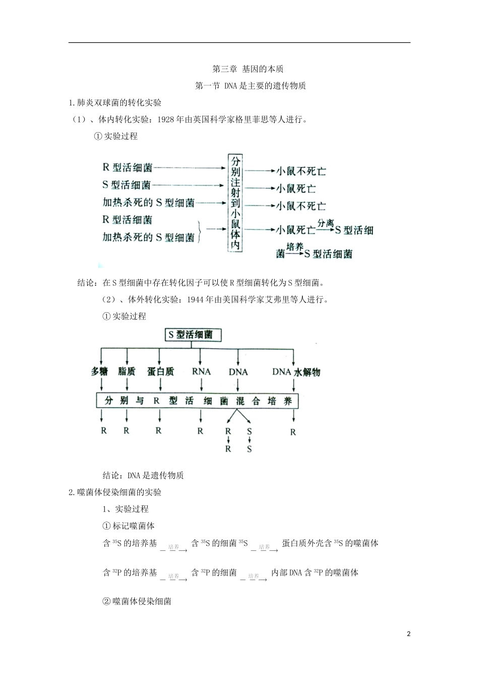 2013高考生物 考前回扣 遗传的分子基础（含解析）新人教版_第2页